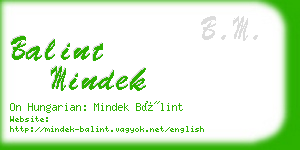 balint mindek business card